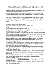 Ngôn ngữ Script và Sự Khác Biệt Với Ngôn Ngữ Lập Trình | Môn Công nghệ thông tin - Học viện Hành chính Quốc gia