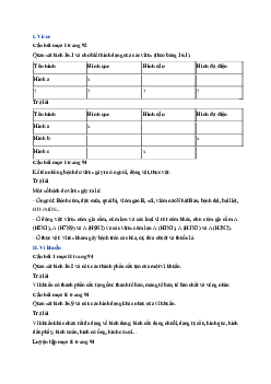 Giải sách giáo khoa môn Khoa học tự nhiên lớp 6 Bài 16: Virus và vi khuẩn| Sách Cánh Diều