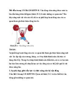 Giải Khoa học tự nhiên 8 bài 28: Hệ vận động ở người | Cánh diều