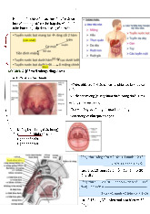HỆ TIÊU HÓA: CẤU TRÚC VÀ CHỨC NĂNG CHÍNH môn Sinh học | Trường Đại Học Y Dược Thái Bình