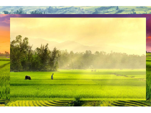 Bài 3: Đọc mở rộng  | Bài giảng PowerPoint Ngữ Văn 6 | Chân trời sáng tạo