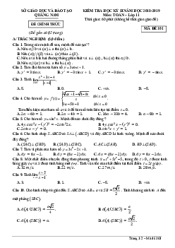 Đề thi HK2 Toán 11 năm học 2018 – 2019 sở GD và ĐT Quảng Nam