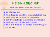 Tài liệu sưu tầm. Hệ sinh dục nữ