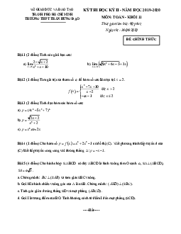 Đề thi học kì 2 Toán 11 năm 2019 – 2020 trường THPT Trần Hưng Đạo – TP HCM