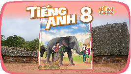 Bài giảng điện tử Tiếng anh 8 unit 4:  ETHNIC GROUPS OF VN- Lesson 2| Global Success
