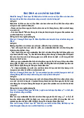 Giải SGK Sinh học 12 Kết nối tri thức Bài 1: DNA và cơ chế tái bản DNA