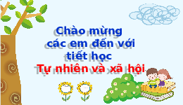 Giáo án điện tử Tự nhiên và xã hội 2 Bài 6 Chân trời sáng tạo : Một số sự kiện ở trường em.