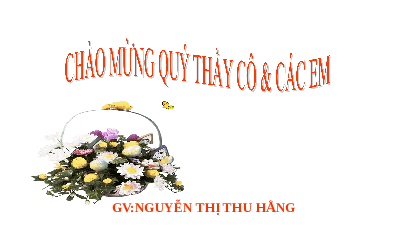 Giáo án điện tử Khoa học tự nhiên 8 Bài 9 Kết nối tri thức: Base. Thang pH