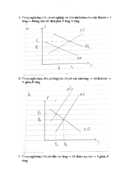 Bài tập Tổng cung tổng cầu - Kinh tế vi mô
