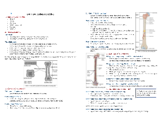 Nội dung lý thuyết Giải phẫu đại cương nội dung về: Đại cương hệ xương | Đại học Y dược thành phố Hồ Chí Minh