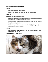 Tả con mèo đang bắt chuột | Tập làm văn 5 Chân trời sáng tạo