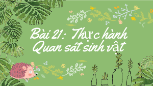 Bài 21: Thực hành quan sát sinh vật | Bài giảng PowerPoint KHTN 6 | Chân trời sáng tạo