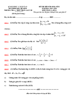 Đề thi học kì 2 Toán 11 năm 2019 – 2020 trường Trần Cao Vân – TP HCM