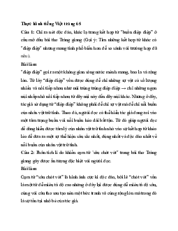 Soạn bài Thực hành tiếng Việt trang 65 | Ngữ văn 11 Kết nối tri thức