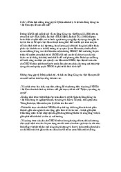 Phân tích những đóng góp về lý luận chính trị- xã hội của Đảng Cộng sản Việt Nam qua 30 năm đổi mới?