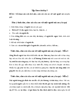 Tập làm văn lớp 3: Viết đoạn văn nêu tình cảm, cảm xúc của em với một người mà em yêu quý | Kết nối tri thức