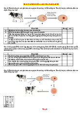 10 Câu Trắc Nghiệm Đúng Sai Công Nghệ Gene Sinh 12 Giải Chi Tiết