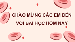 Bài 31: Thực hành về máu về hệ tuần hoàn | Bài giảng PowerPoint KHTN 8 | Cánh diều