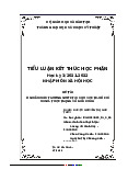 Ô nhiễm môi trường nước tại khu vực Tp.Hồ Chí Minh. Thực trạng và giải pháp | Tiểu luận môn Xã hội học Trường đại học sư phạm kĩ thuật TP. Hồ Chí Minh