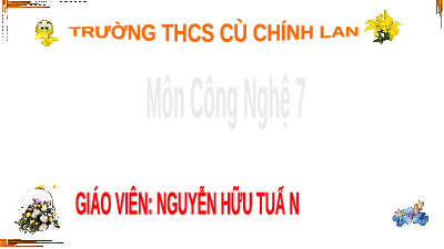 Giáo án điện tử Công nghệ 7 Bài 2 Chân trời sáng tạo: Các phương thức trồng trọt ở Việt Nam