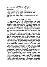 BÀI VĂN TẢ CÂY XOÀI - TÌM HIỂU VỀ VẺ ĐẸP LOÀI CÂY XOÀI