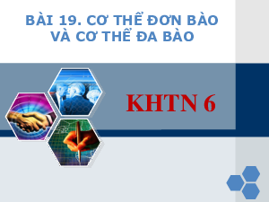 Bài 19: Cơ thể đơn bào và cơ thể đa bào | Bài giảng PowerPoint KHTN 6 | Chân trời sáng tạo