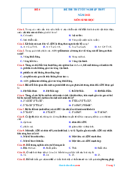 Đề thi thử TN THPT 2022 môn sinh học mã đề 4 (có đáp án và lời giải chi tiết)