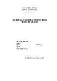 Levantai  nhập m,ôn hệ thống thông tin marketing - Tài liệu tham khảo | Đại học Hoa Sen