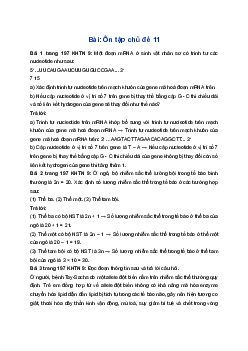 Giải Khoa học tự nhiên 9 Chân trời sáng tạo Ôn tập chủ đề 11