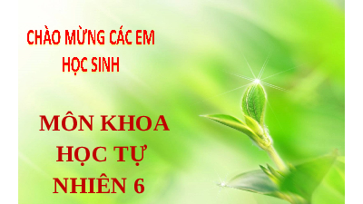 Giáo án điện tử Khoa học tự nhiên 7 Bài 6 Cánh diều: Hoá trị, công thức hoá học