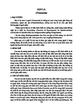 Lý thuyết về Sán lá môn Ký sinh trùng | Trường Đại học Y dược - Đại học Huế