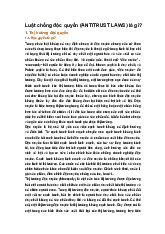 Luật chống độc quyền (ANTITRUST LAWS) là gì?