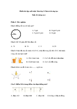 Phiếu bài tập cuối tuần Toán lớp 3 Chân trời - Tuần 16 (nâng cao)