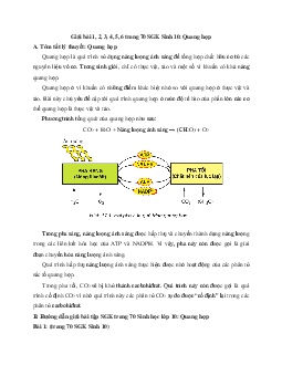 Giải bài tập trang 70 SGK Sinh học lớp 10: Quang hợp