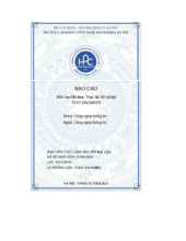 BÁO CÁO THỰC TẬP FINAL NDL1