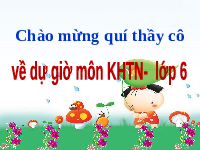 Giáo án điện tử Khoa học tự nhiên 6 bài 42 Kết nối tri thức : Biến dạng của lò xo