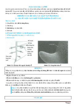Bài tập chuyển hóa năng lượng và vật chất sinh học 11 (có đáp án)