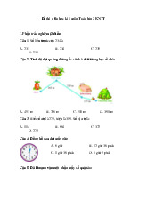 Đề thi giữa học kỳ 1 môn Toán lớp 3 năm học 2024 - 2025 - Đề số 3 | Bộ sác Kết nối tri thức