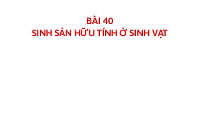 Giáo án điện tử Khoa học tự nhiên 7 bài 40 Kết nối tri thức : Sinh sản hữu tính ở sinh vật