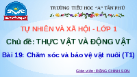 Giáo án điện tử Tự nhiên và xã hội 1 bài 19 Chân trời sáng tạo : Cây xung quanh em