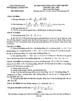 Đề tuyển sinh lớp 10 chuyên môn Toán (chung) năm 2024 – 2025 sở GD&ĐT Hà Nam