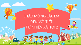 Giáo án điện tử Tự nhiên và Xã hội 2 Bài 1 Kết nối tri thức: Các thế hệ trong gia đình