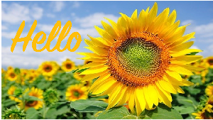 Tri thức ngữ văn trang 59 Tập 2 | Bài giảng PowerPoint Ngữ văn 11 Chân trời sáng tạo