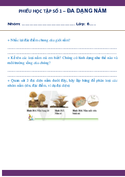 Chủ đề 8. bài 8: Đa dạng nấm(Phiếu học tập) | Bài giảng KHTN 6 | Cánh diều