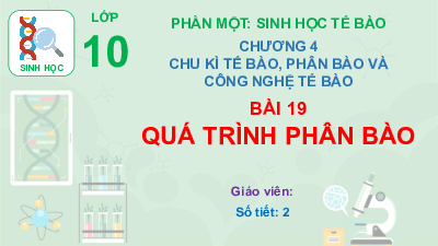 Bài 19 | Bài giảng PowerPoint môn Sinh học 10 | Chân trời sáng tạo