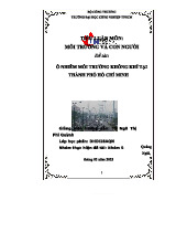 Tiểu luận DHDI18AQN: Ô nhiễm môi trường không khí tại TP HCM