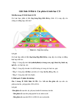 Giải Sinh 10 Bài 6: Các phân tử sinh học | Cánh diều