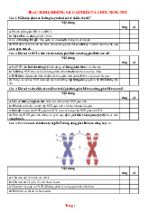 10 Câu Trắc Nghiệm Đúng Sai Cấu Trúc Và Chức Năng Nhiễm Sắc Thể Sinh 12 Giải Chi Tiết