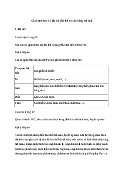 Bài 10: Bài tiết và cân bằng nội môi | Giải Sinh 11 Cánh diều