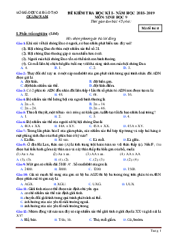 Đề Thi Học Kỳ 1 Môn Sinh Lớp 9 Quảng Nam 2018-2019 (Có Lời Giải)